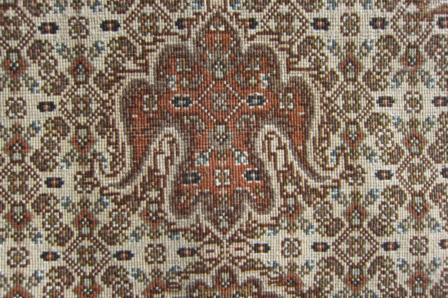 タブリーズ産カーペット (215×150cm)