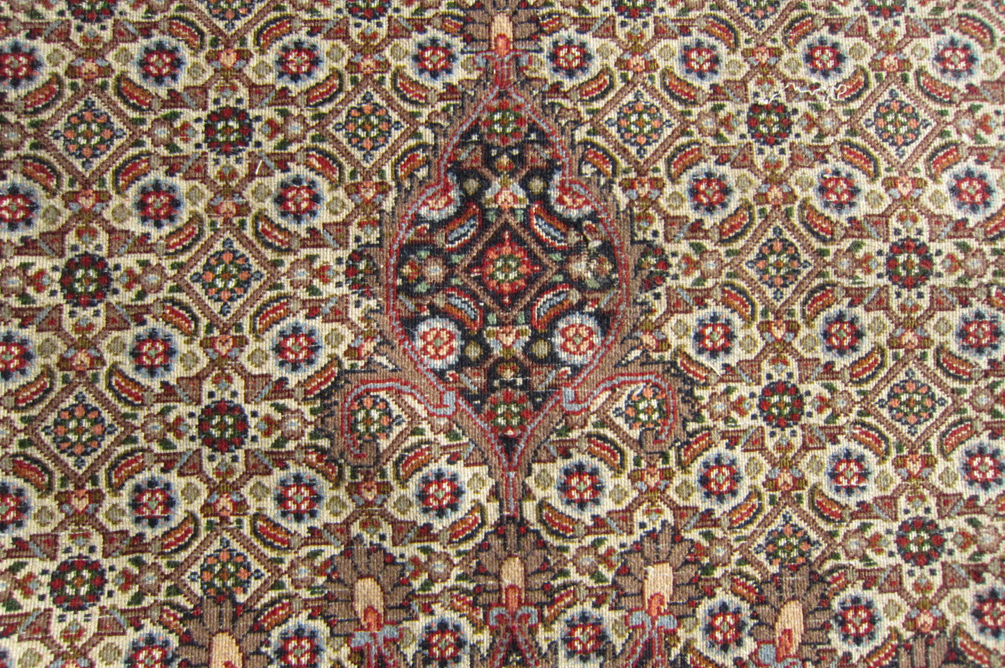 イラン直輸入★ムード産ペルシャ絨毯・カーペット